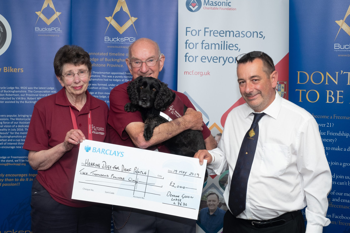 hearing dogs for the deaf